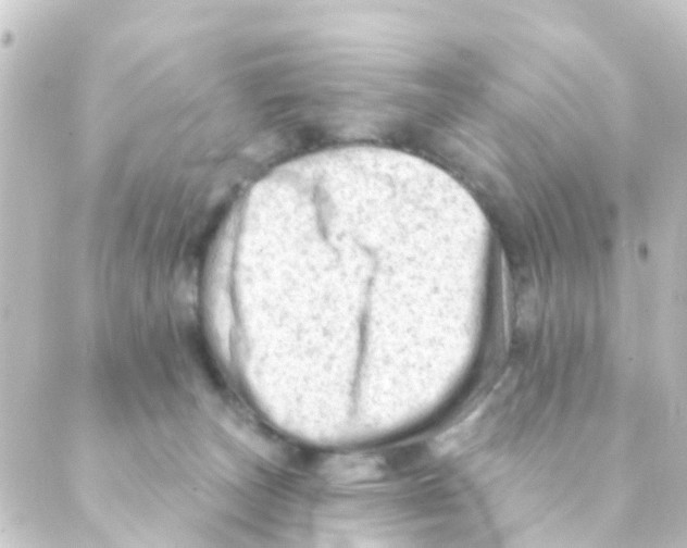 X0000088650179200706221619