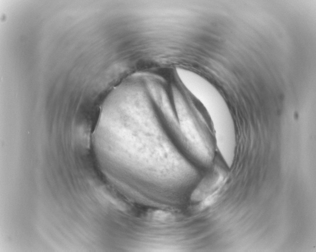 X0000088650180200706221619