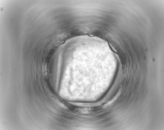 X0000088650182200706221619