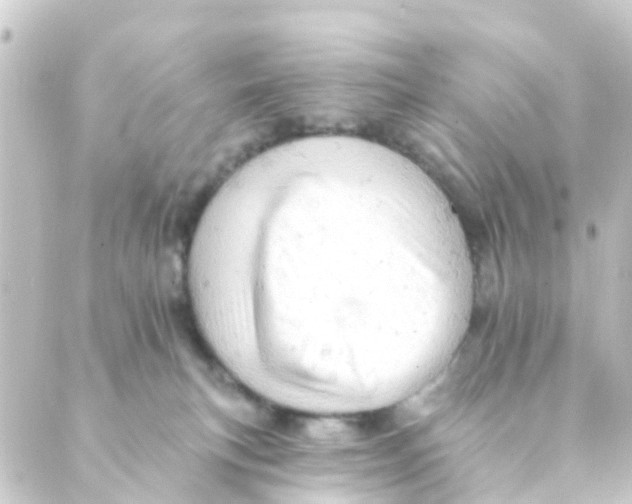 X0000088650183200706221619