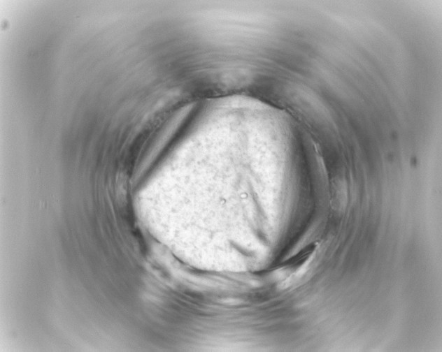 X0000088650184200706221619