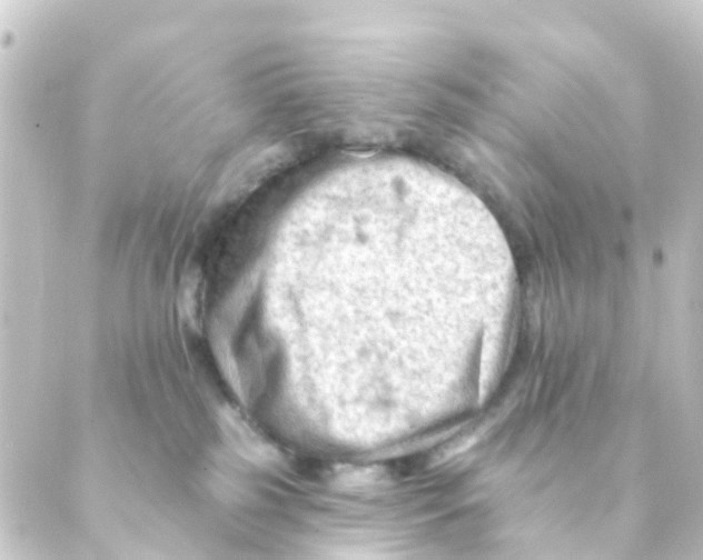 X0000088650185200706221619