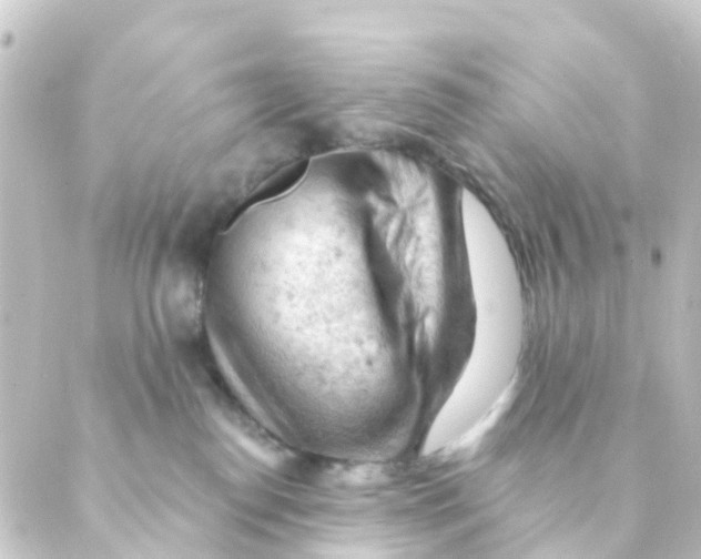 X0000088650186200706221619