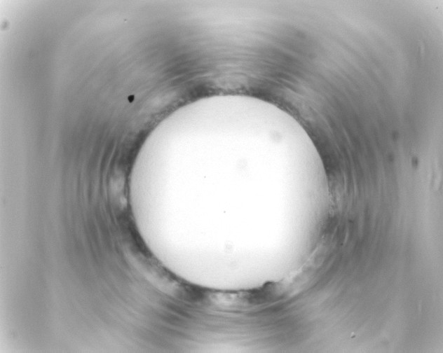 X0000088650187200706221619