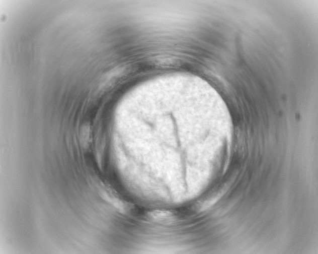 X0000088650189200706221620