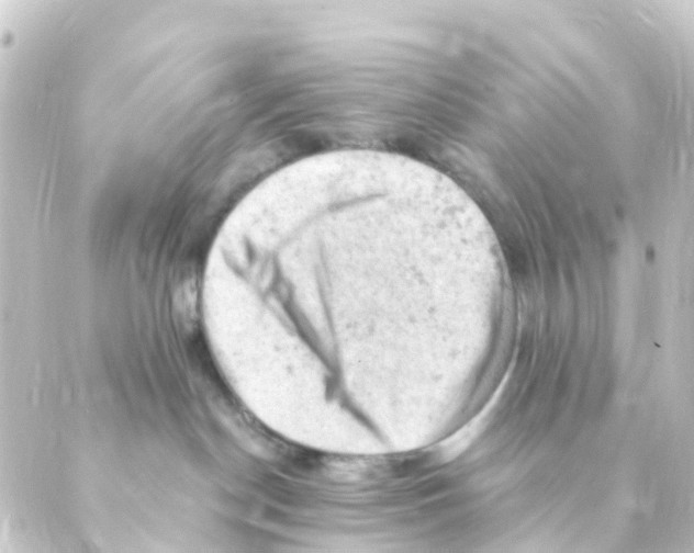 X0000088650190200706221620