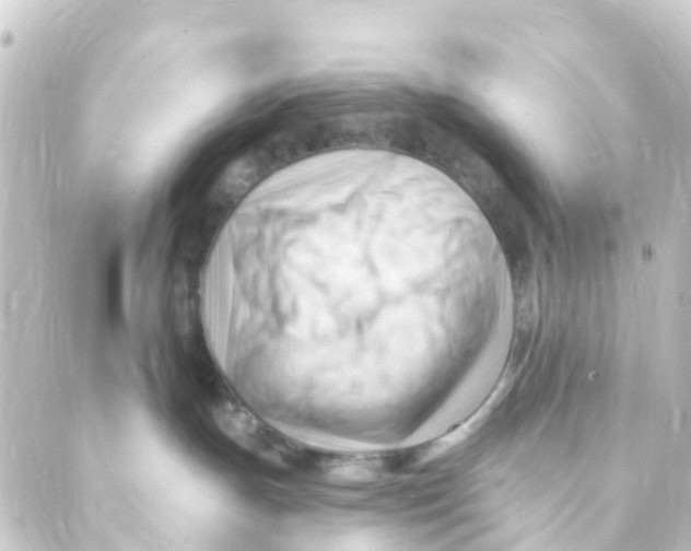 X0000088650191200706221620