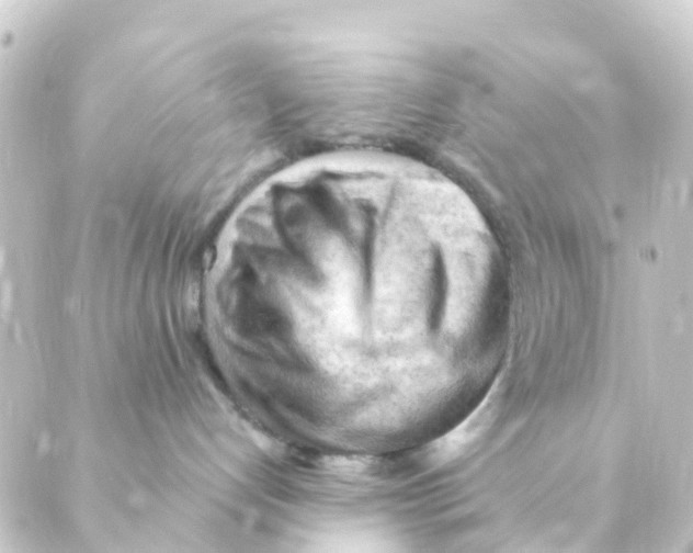 X0000088650192200706221620