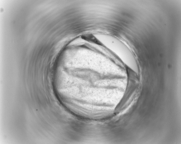 X0000088650193200706221619