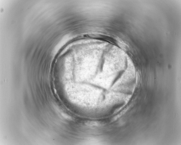 X0000088650195200706221619