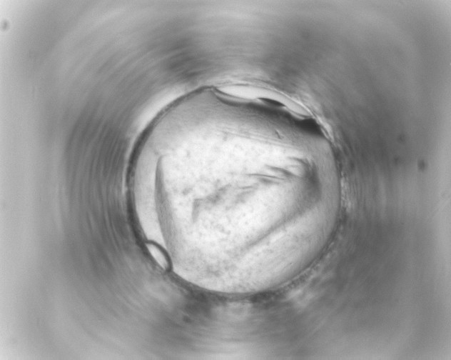 X0000088650196200706221619