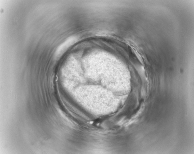 X0000088650197200706221619