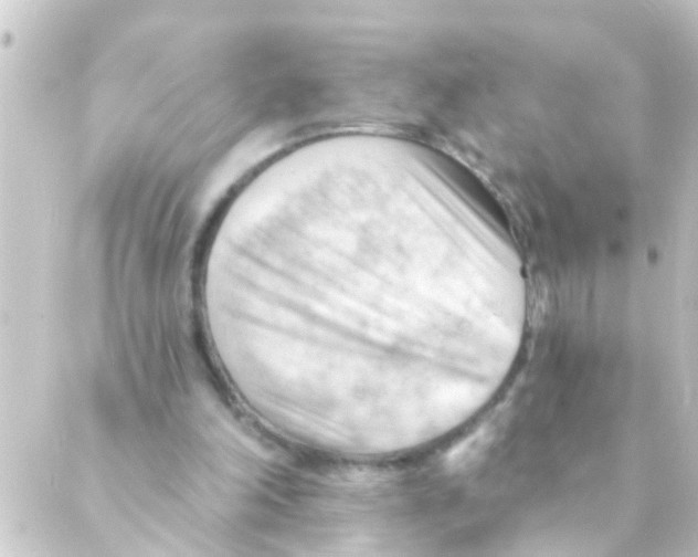 X0000088650198200706221619