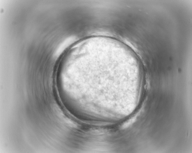 X0000088650199200706221619