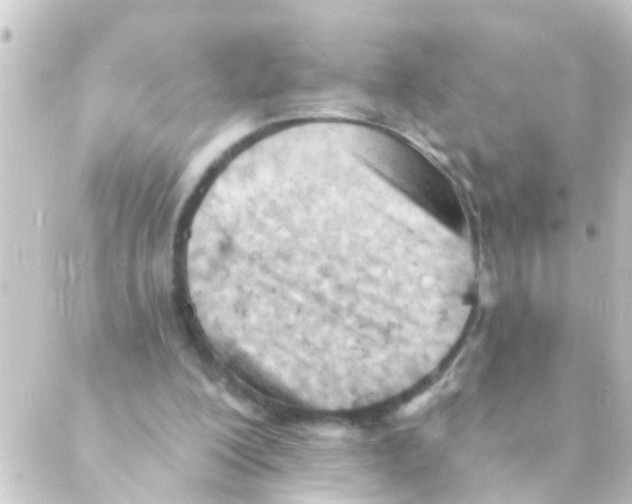 X0000088650200200706221619