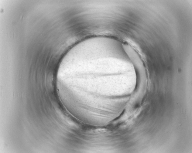 X0000088650201200706221619