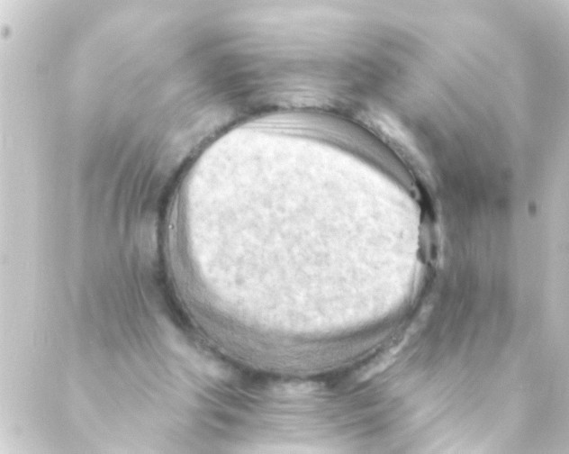 X0000088650202200706221619