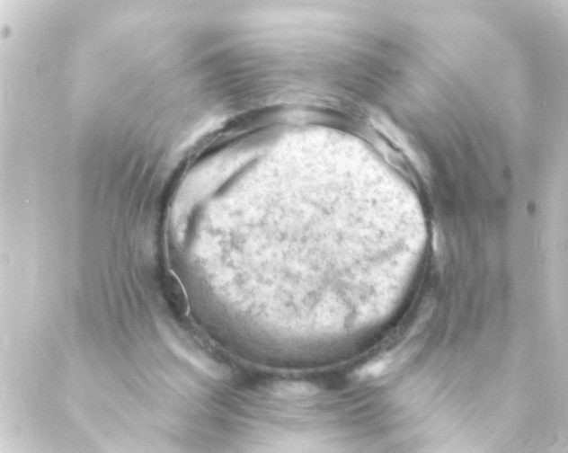 X0000088650203200706221619