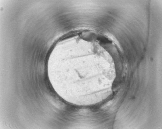 X0000088650204200706221619