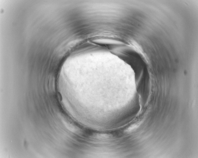 X0000088650205200706221619