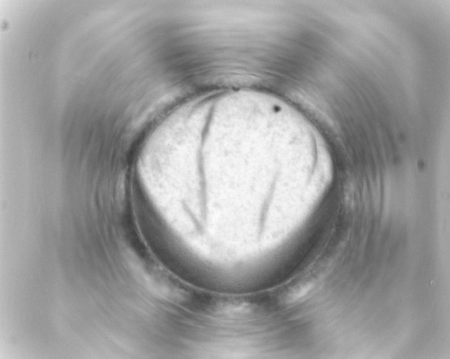 X0000088650206200706221619