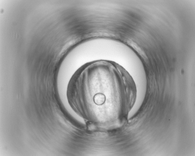 X0000088650207200706221619