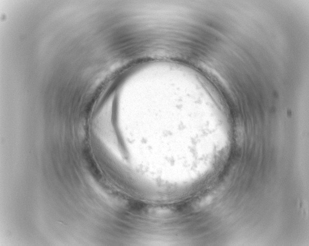 X0000088650208200706221619