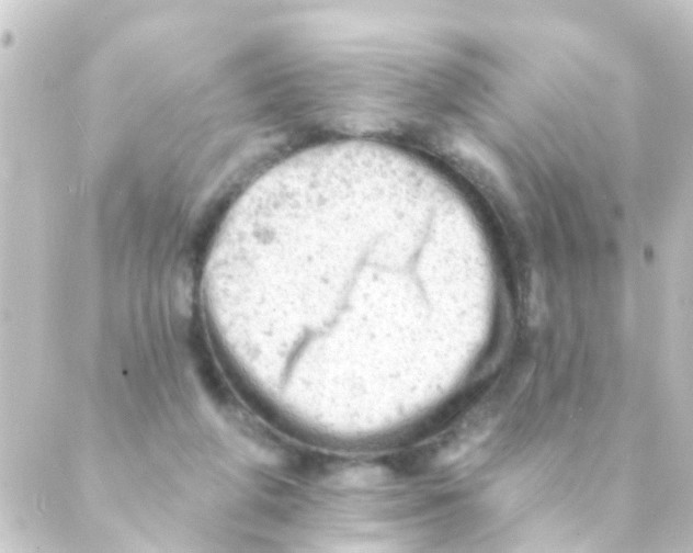 X0000088650210200706221619