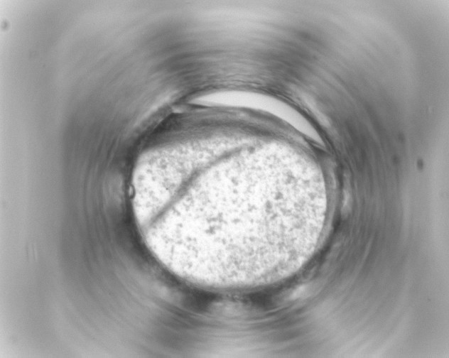 X0000088650211200706221618