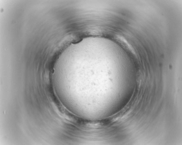 X0000088650213200706221618