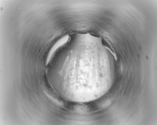 X0000088650215200706221618