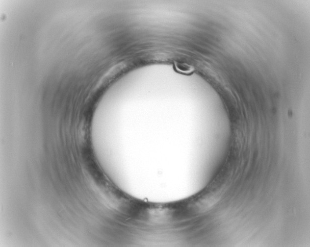 X0000088650216200706221618