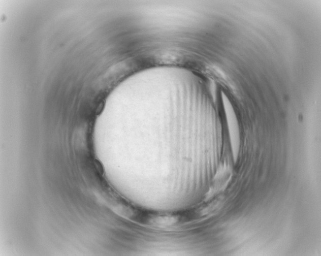 X0000088650217200706221618