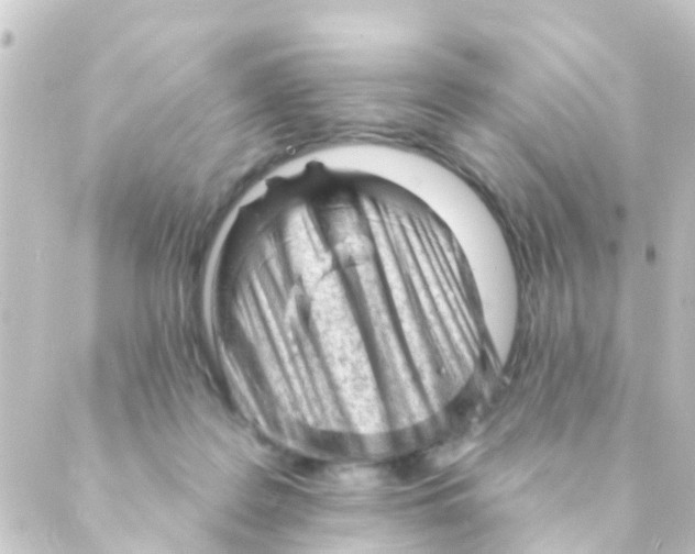 X0000088650219200706221618