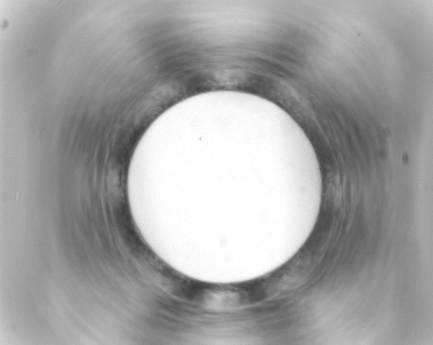 X0000088650220200706221618