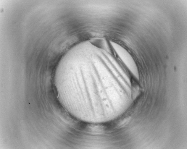 X0000088650221200706221618