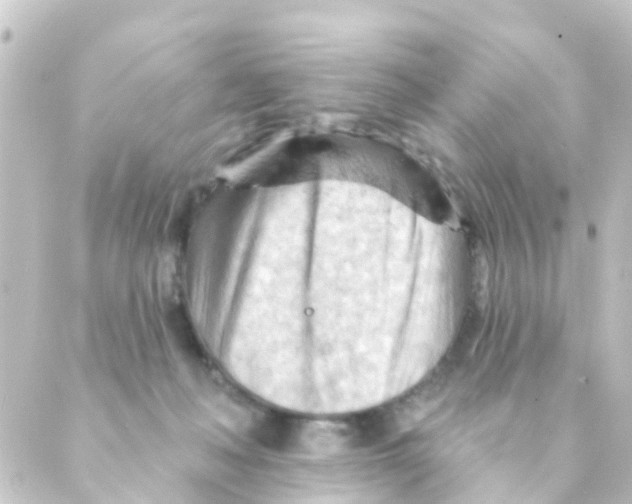 X0000088650222200706221618