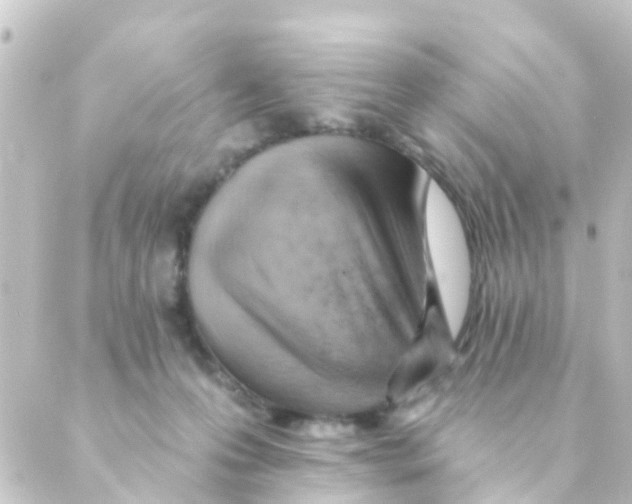 X0000088650223200706221618