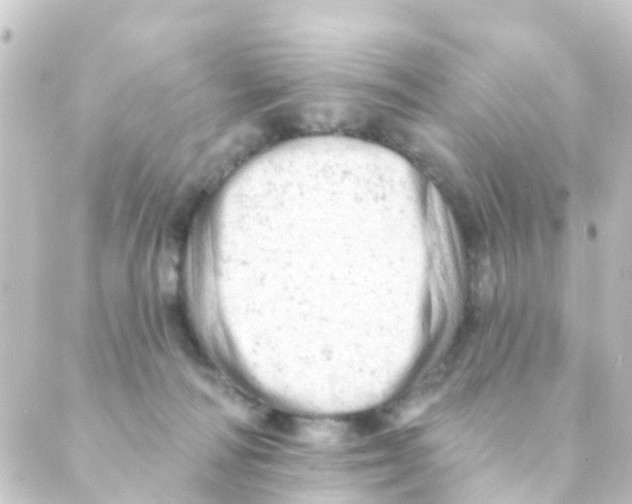 X0000088650226200706221618