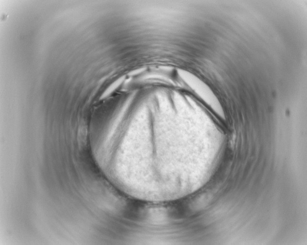 X0000088650228200706221618