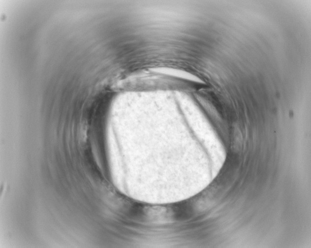 X0000088650230200706221618