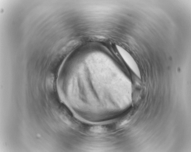 X0000088650231200706221618