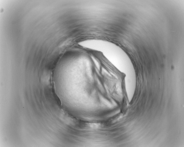 X0000088650233200706221618