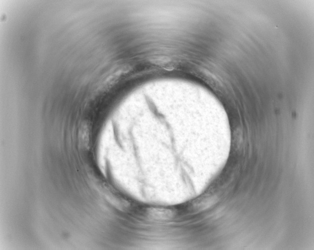 X0000088650234200706221618