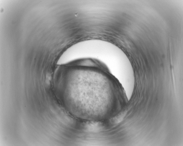 X0000088650235200706221618