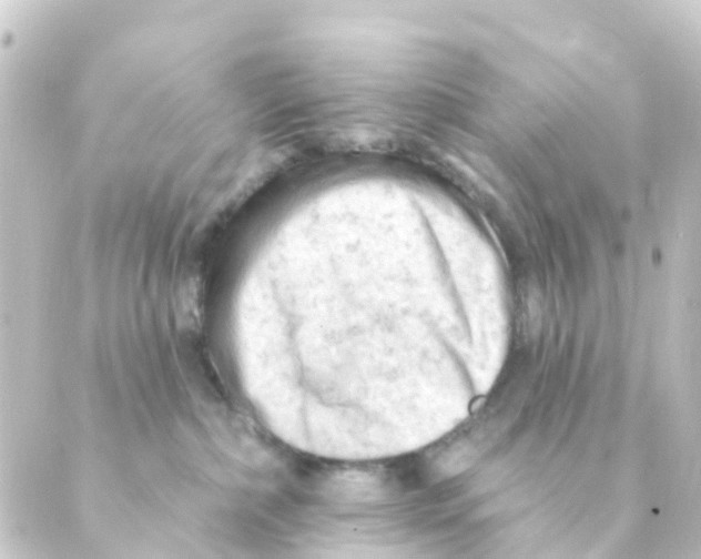 X0000088650236200706221618