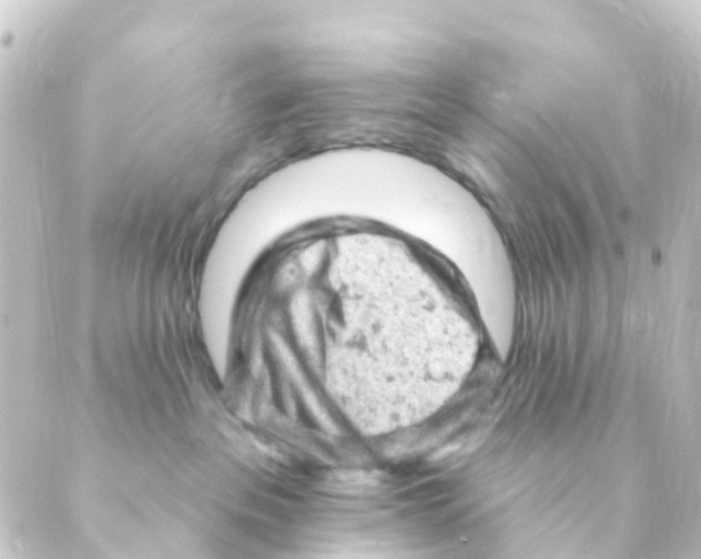 X0000088650237200706221618