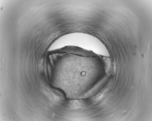 X0000088650239200706221618