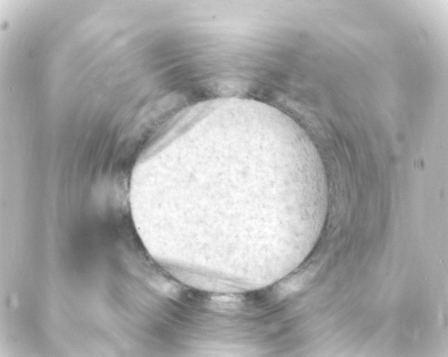 X0000088650240200706221618