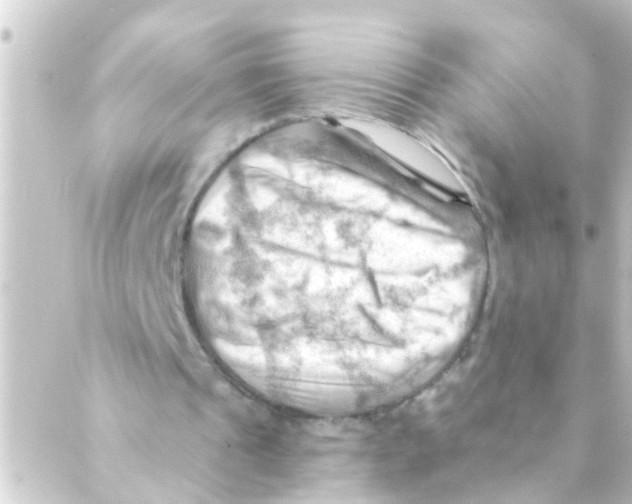 X0000088650241200706221617